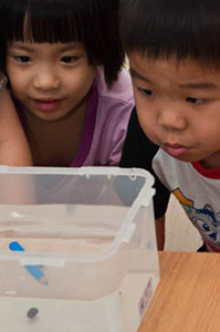 Montessori School Johor Bahru (JB) | Tadika Johor Bahru (JB)