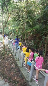 Nature Walk at Hutan Bandar Impian Emas