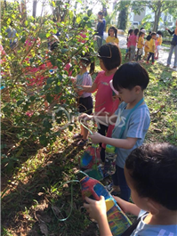 Nature Walk at Hutan Bandar Impian Emas