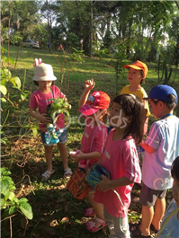 Nature Walk at Hutan Bandar Impian Emas
